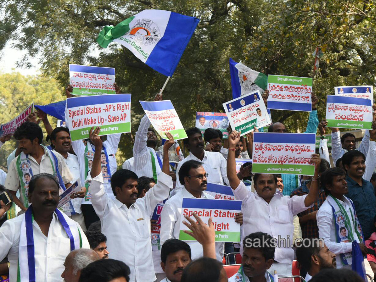 Ysrcp protests delhi demanding special status ap - Sakshi22