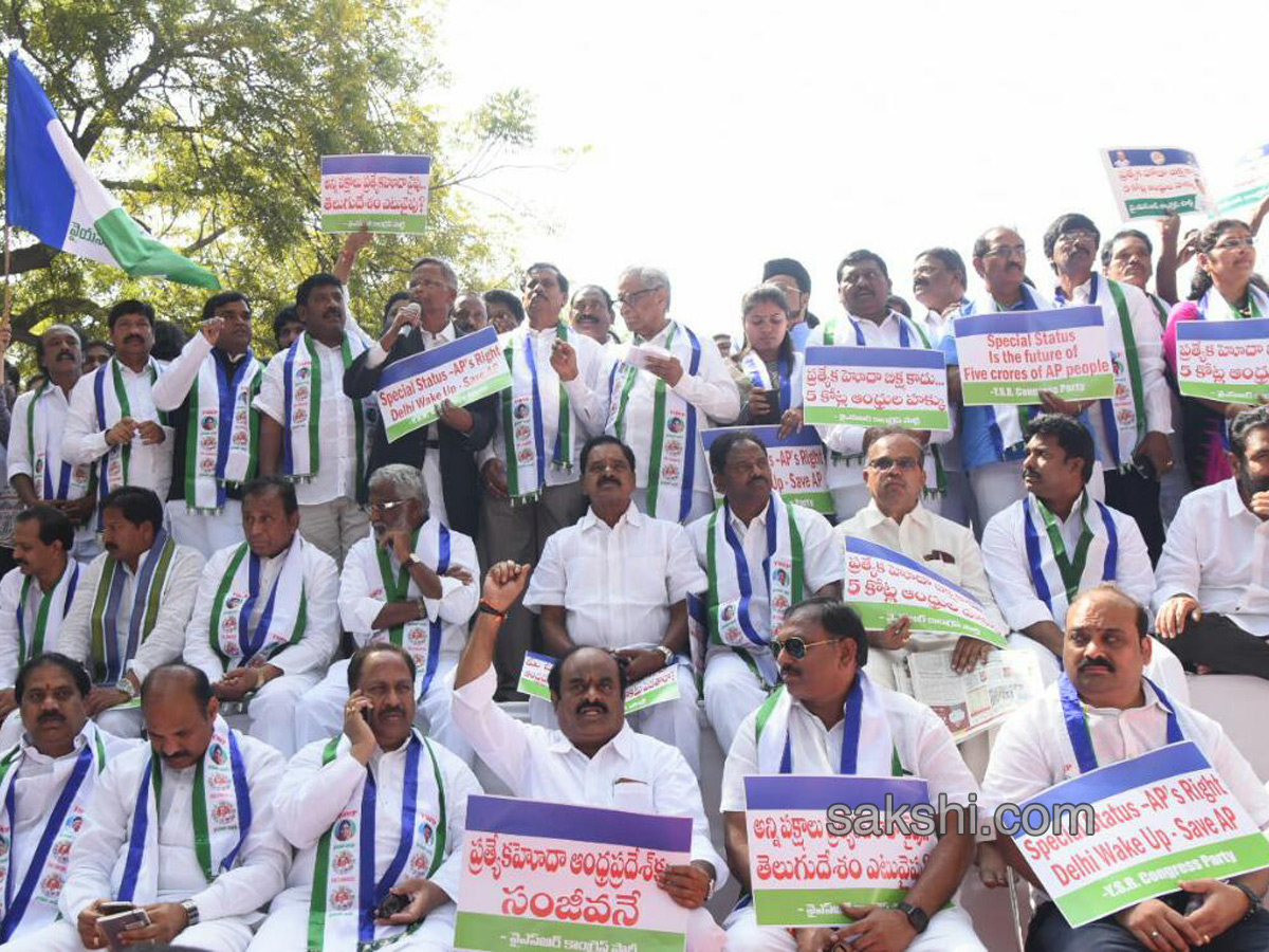 Ysrcp protests delhi demanding special status ap - Sakshi24