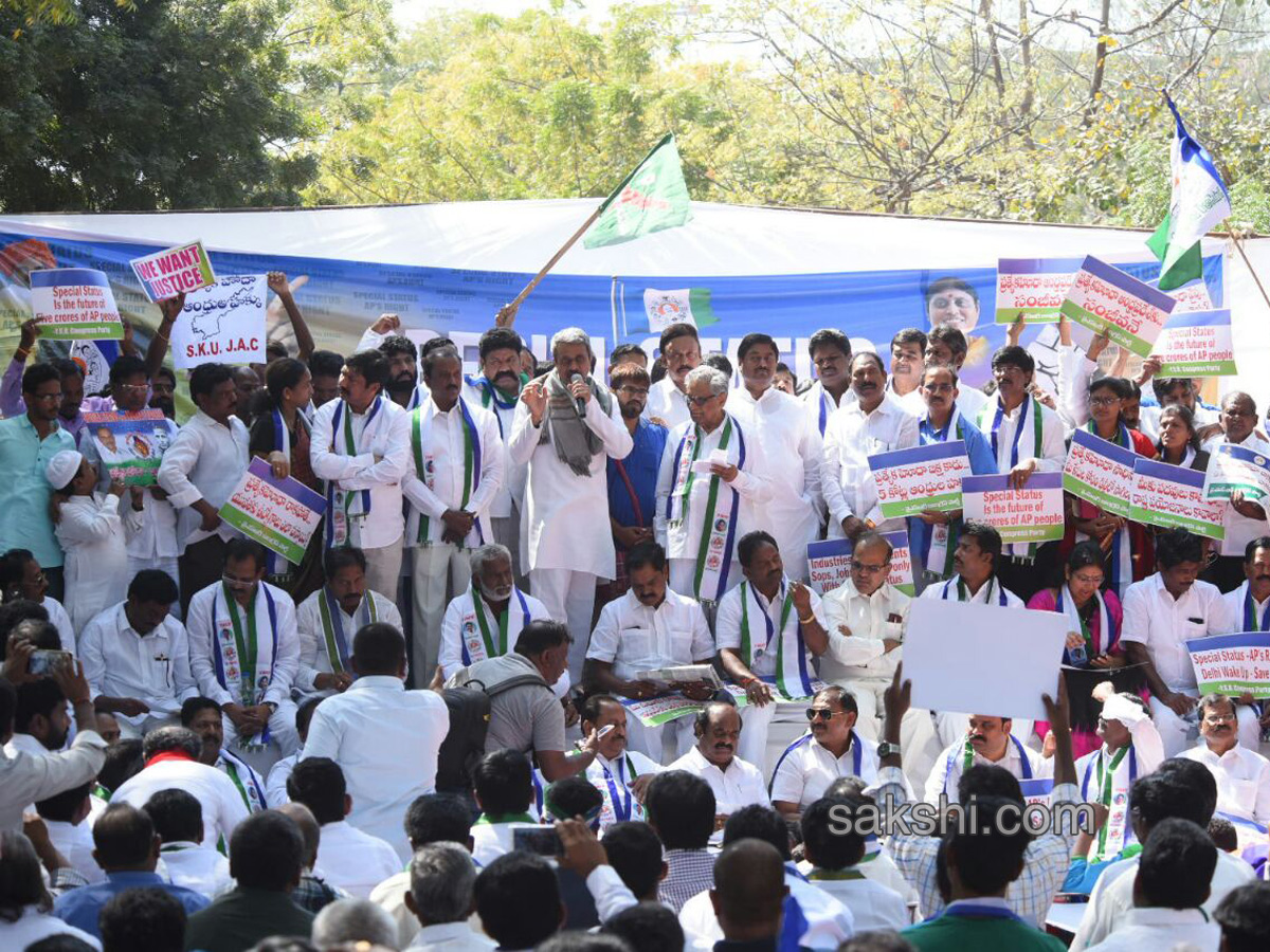 Ysrcp protests delhi demanding special status ap - Sakshi28