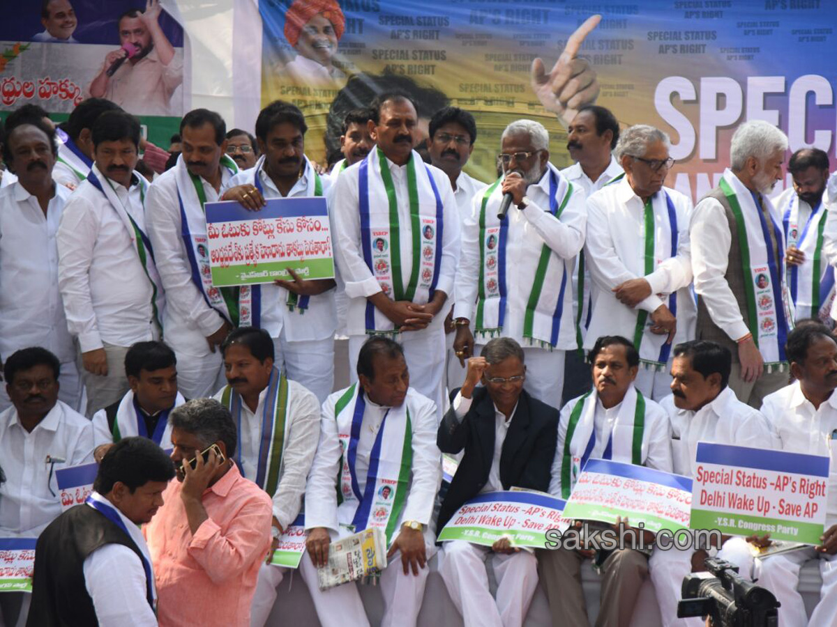 Ysrcp protests delhi demanding special status ap - Sakshi29