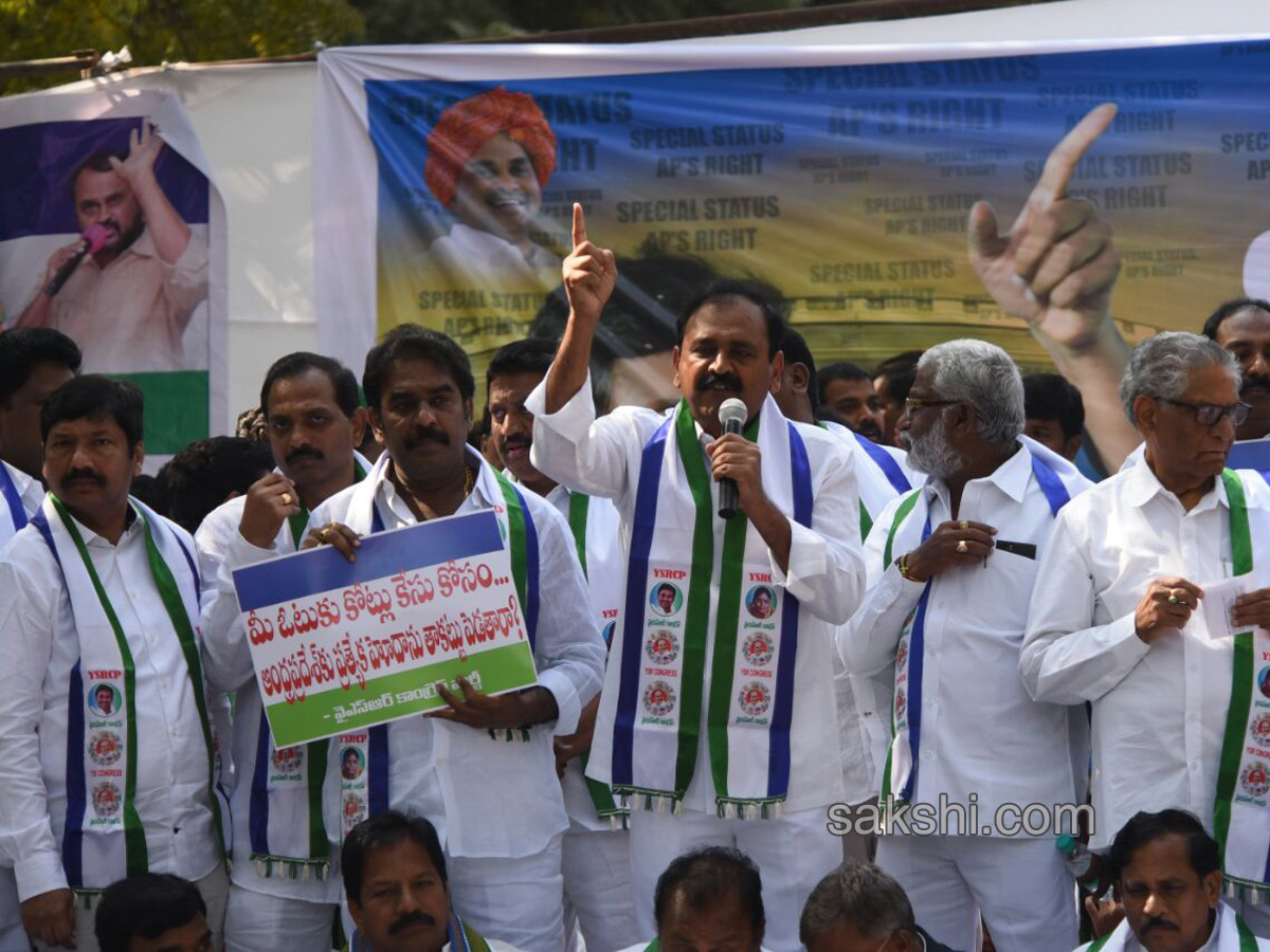 Ysrcp protests delhi demanding special status ap - Sakshi30