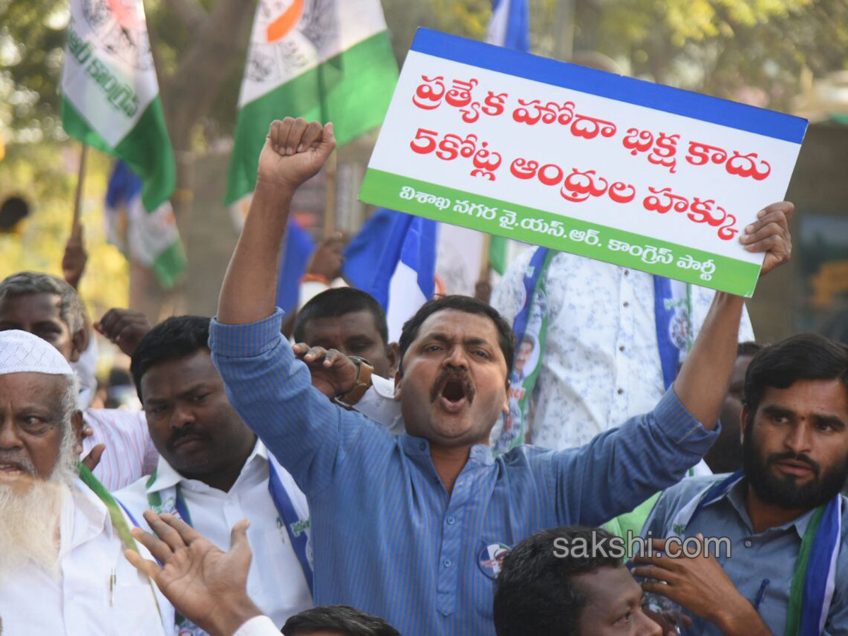 Ysrcp protests delhi demanding special status ap - Sakshi1