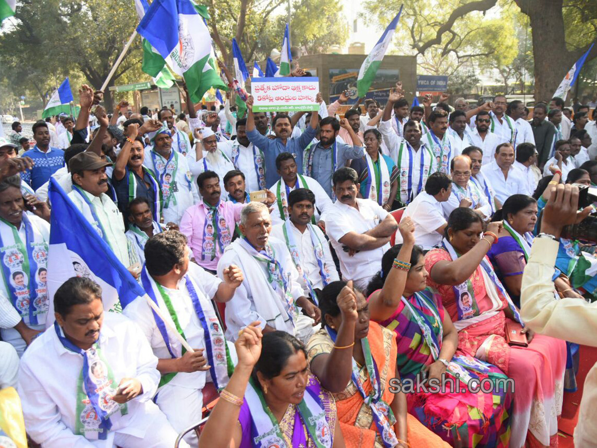 Ysrcp protests delhi demanding special status ap - Sakshi12