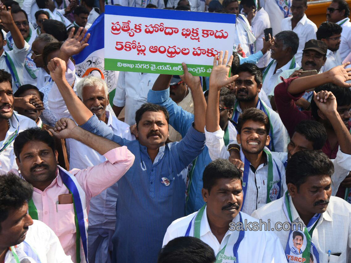 Ysrcp protests delhi demanding special status ap - Sakshi15