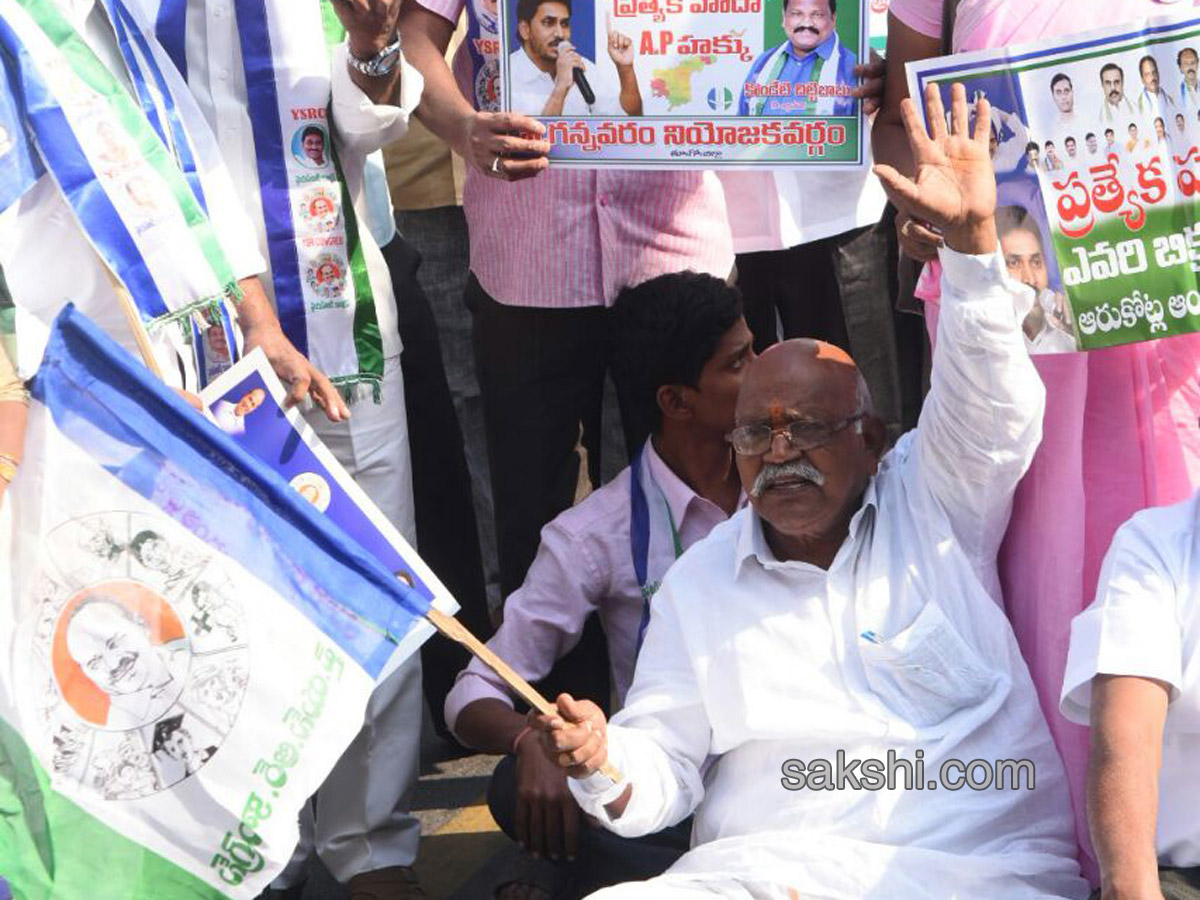 Ysrcp protests delhi demanding special status ap - Sakshi17