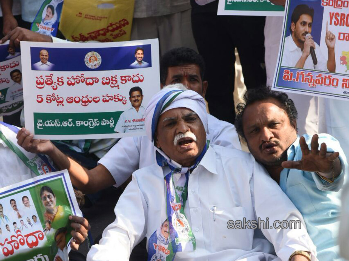 Ysrcp protests delhi demanding special status ap - Sakshi18