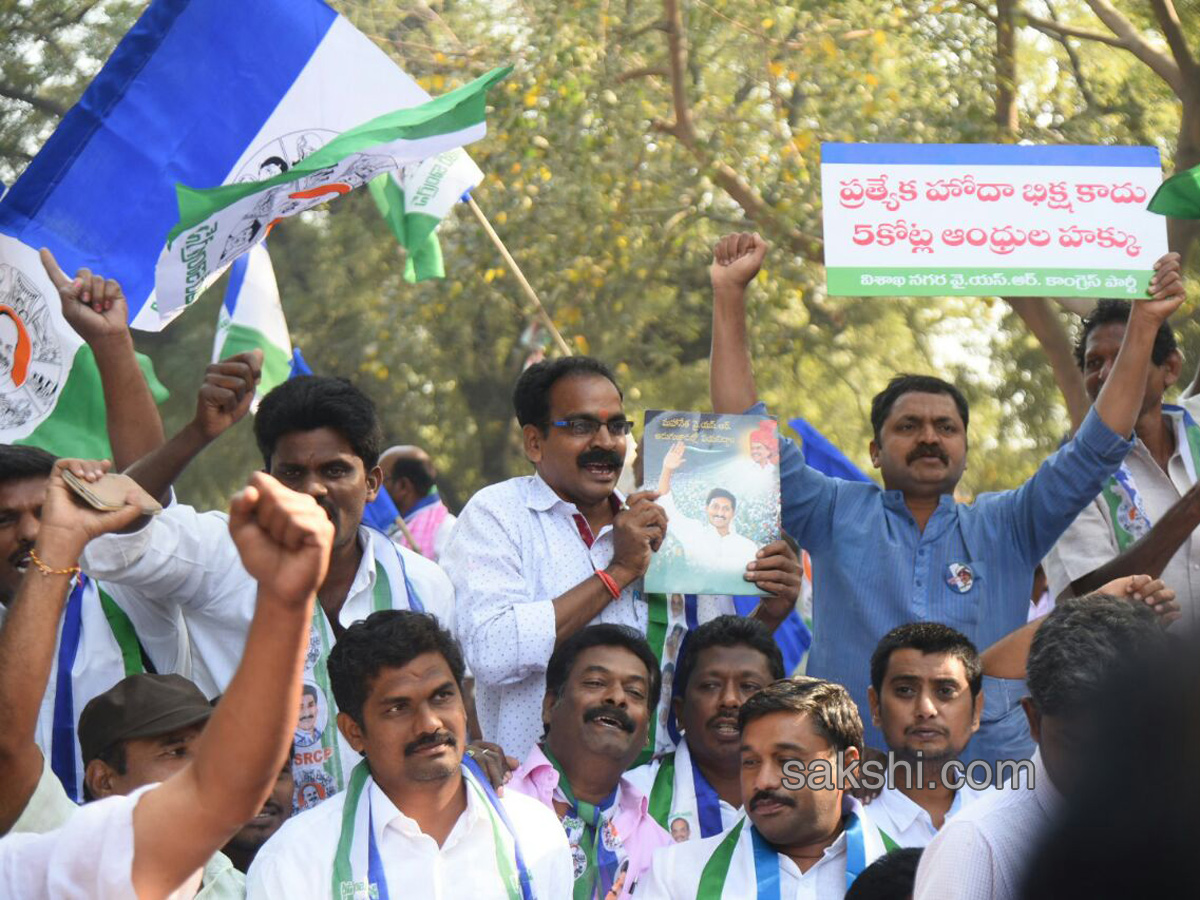 Ysrcp protests delhi demanding special status ap - Sakshi2