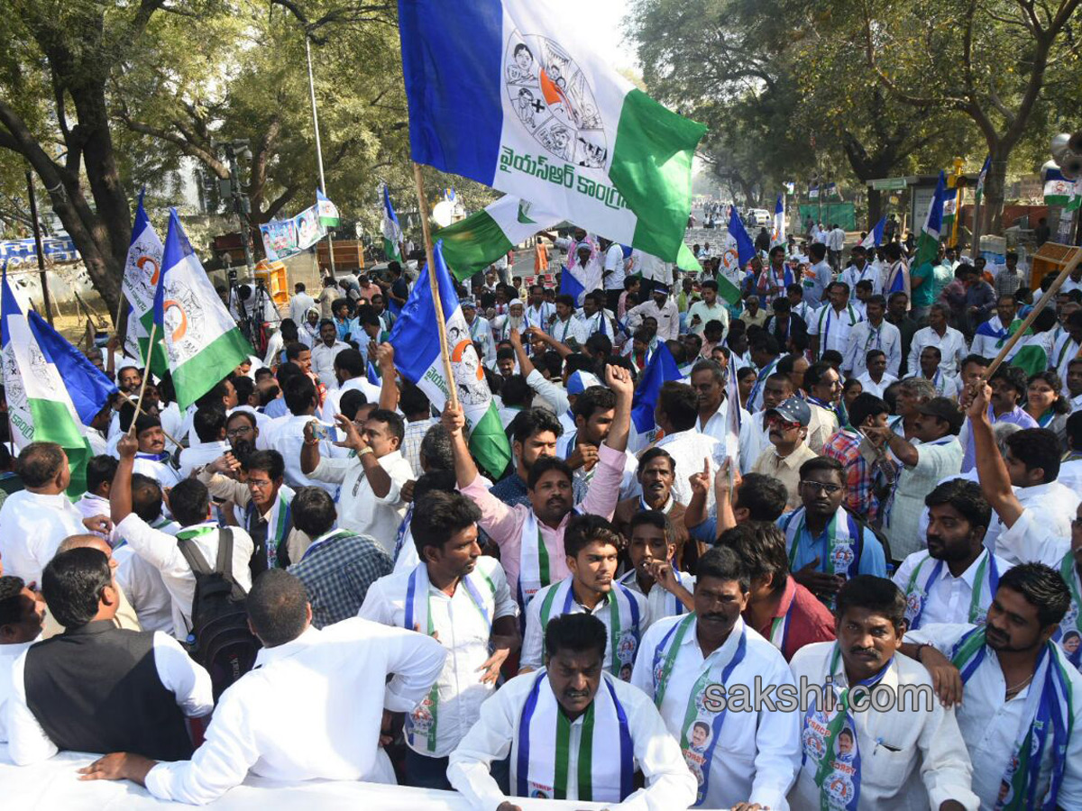 Ysrcp protests delhi demanding special status ap - Sakshi3