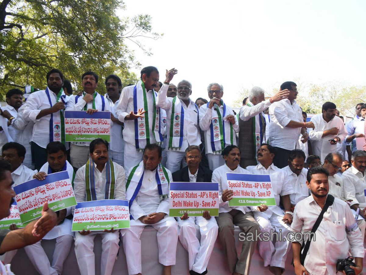 Ysrcp protests delhi demanding special status ap - Sakshi7