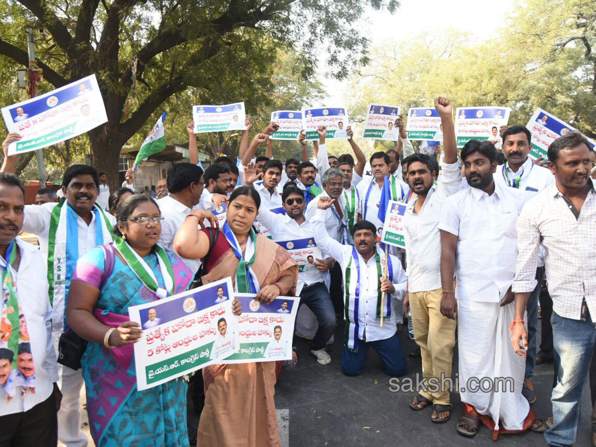 Ysrcp protests delhi demanding special status ap - Sakshi9