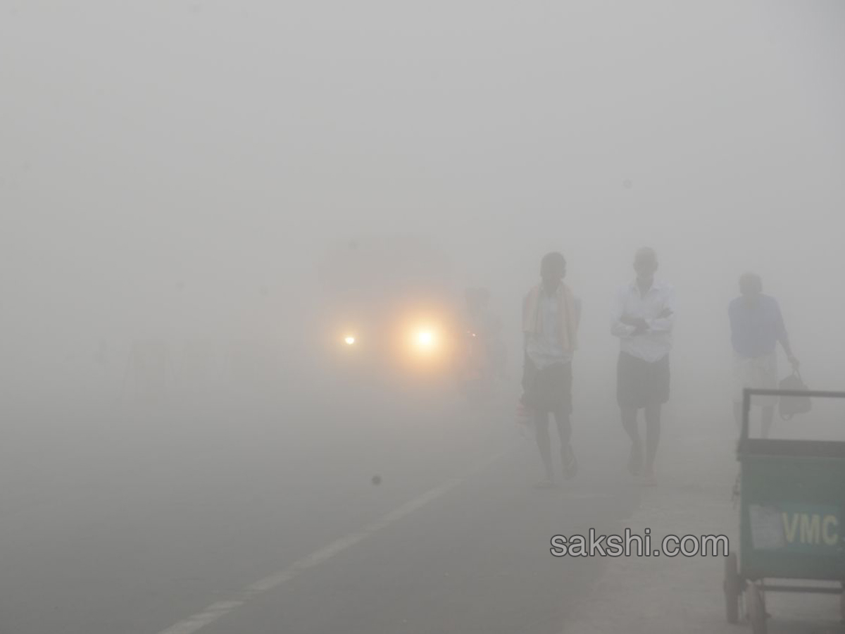 Fog in andhra pradesh - Sakshi1