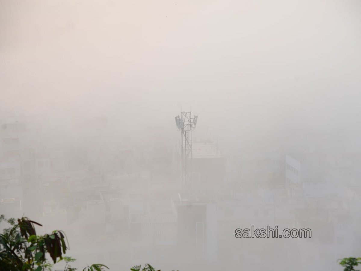 Fog in andhra pradesh - Sakshi3