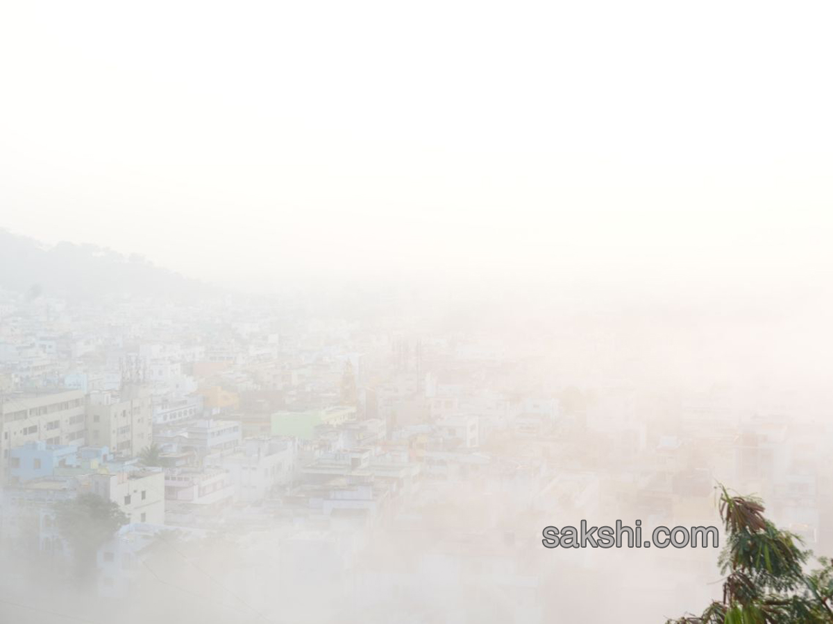 Fog in andhra pradesh - Sakshi4