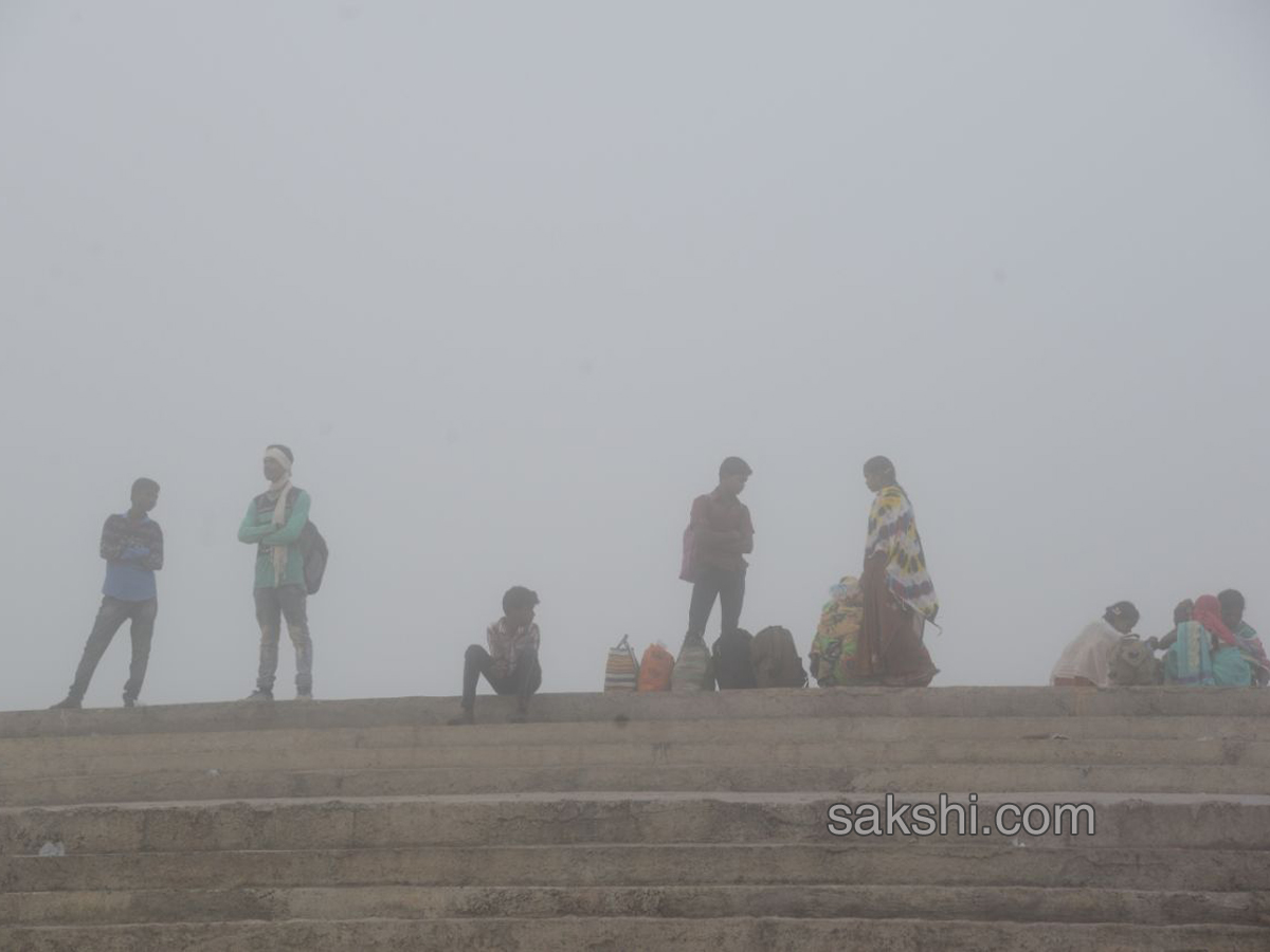 Fog in andhra pradesh - Sakshi5