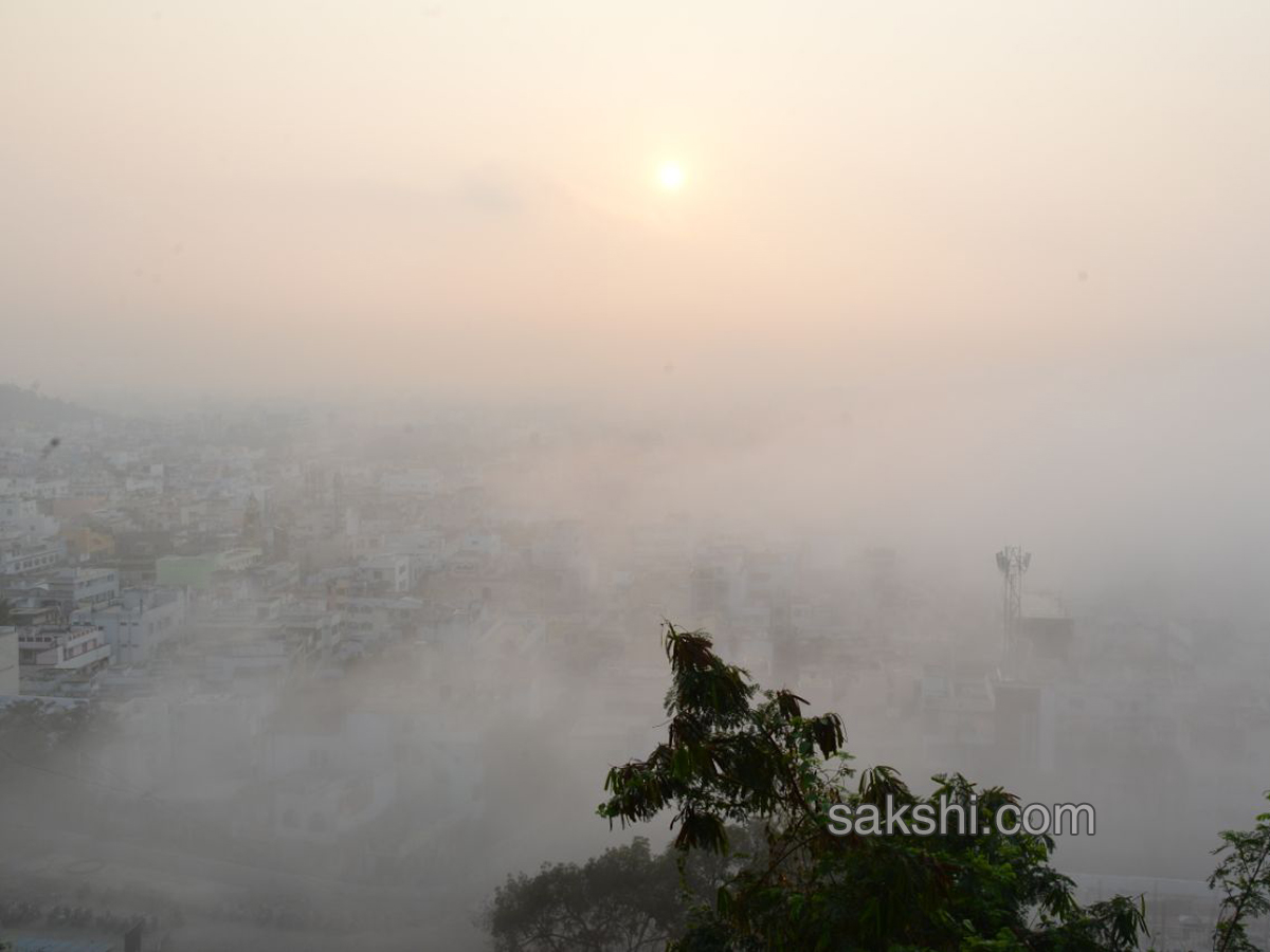 Fog in andhra pradesh - Sakshi6