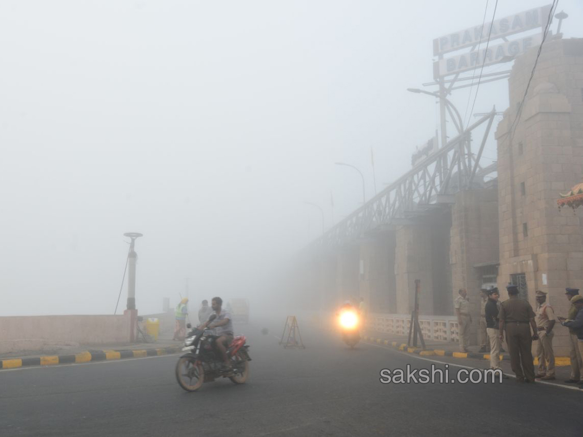 Fog in andhra pradesh - Sakshi8