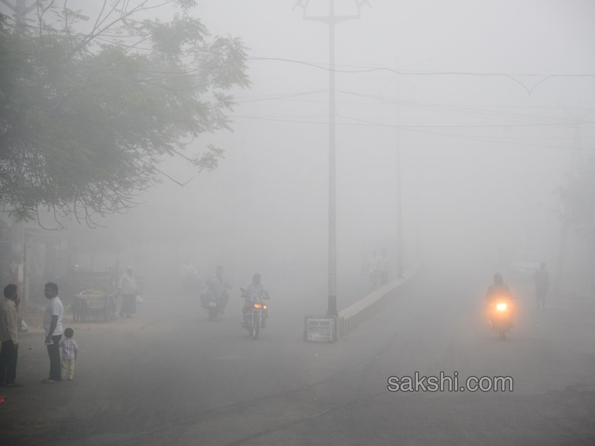 Fog in andhra pradesh - Sakshi9