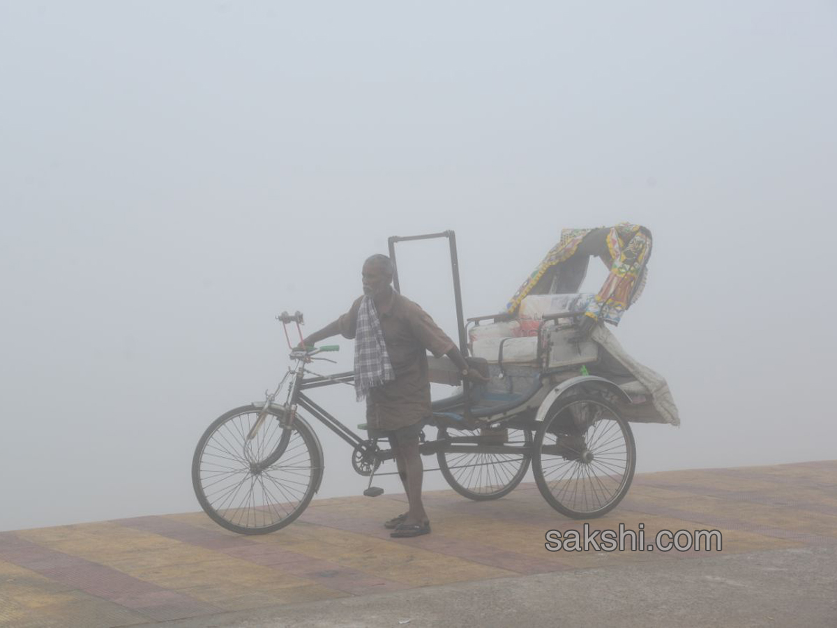 Fog in andhra pradesh - Sakshi10