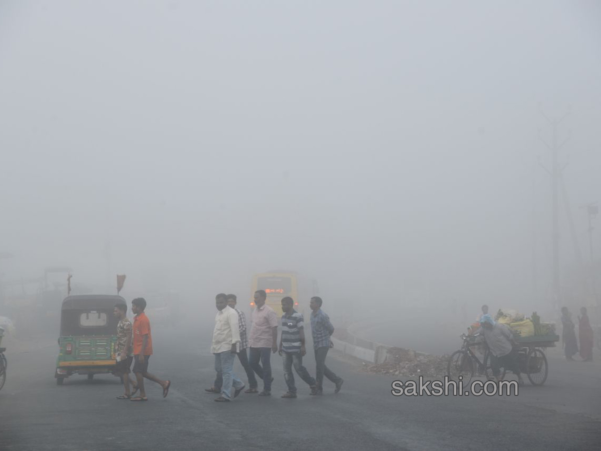 Fog in andhra pradesh - Sakshi11