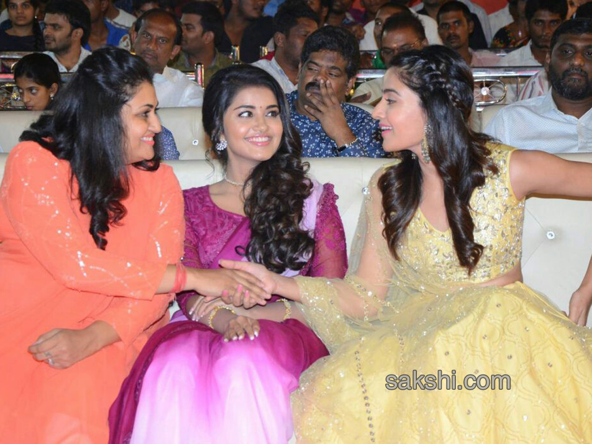 Krishnarjuna Yuddham Pre Release Function - Sakshi13