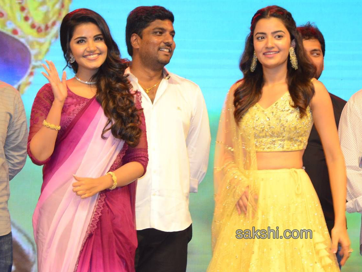 Krishnarjuna Yuddham Pre Release Function - Sakshi7