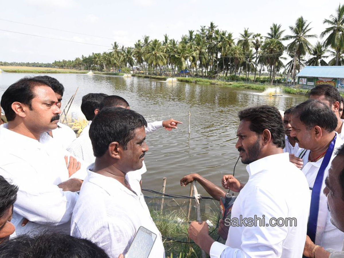  Ys Jagan Mohan Reddy Padayatra images in Agraharapu gopavaram day 169 - Sakshi6