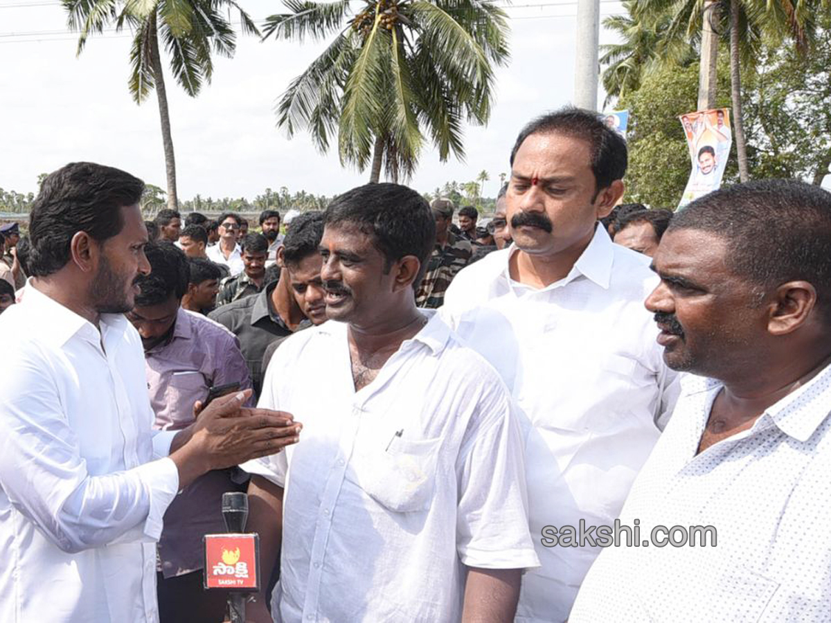  Ys Jagan Mohan Reddy Padayatra images in Agraharapu gopavaram day 169 - Sakshi1