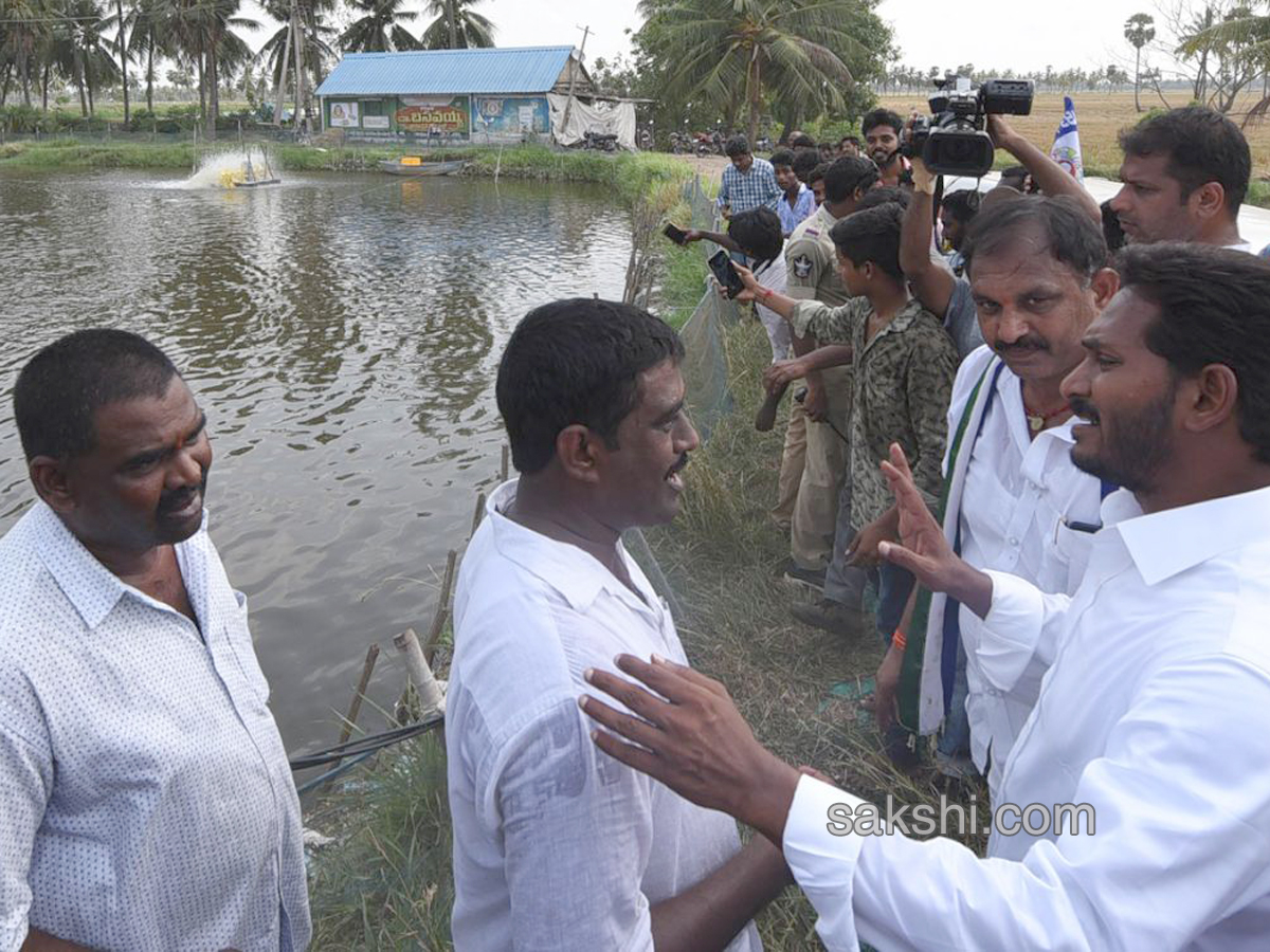  Ys Jagan Mohan Reddy Padayatra images in Agraharapu gopavaram day 169 - Sakshi8