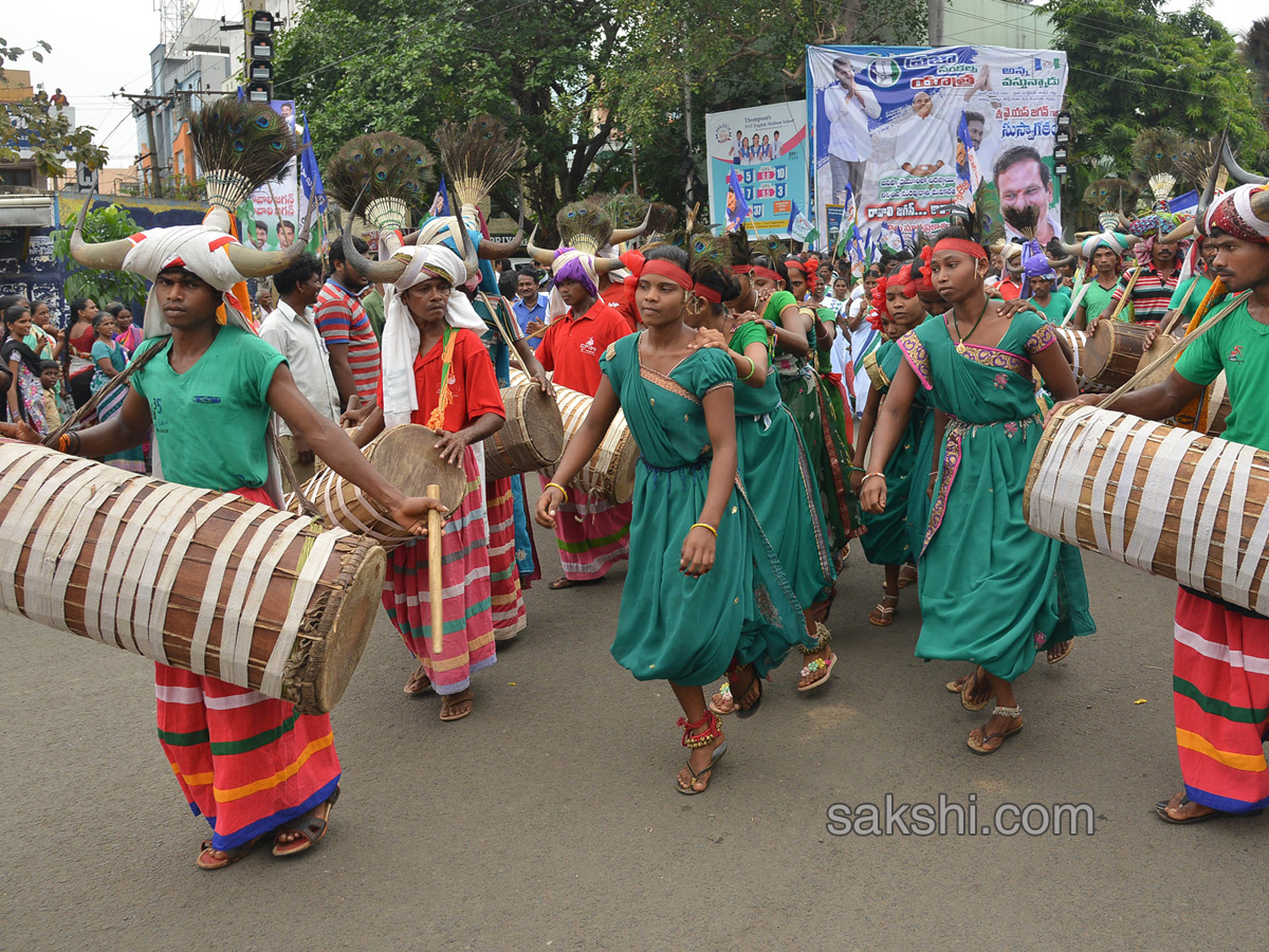 YS Jagan Padayatra On Rajahmundry Bridge Photo Gallery - Sakshi30