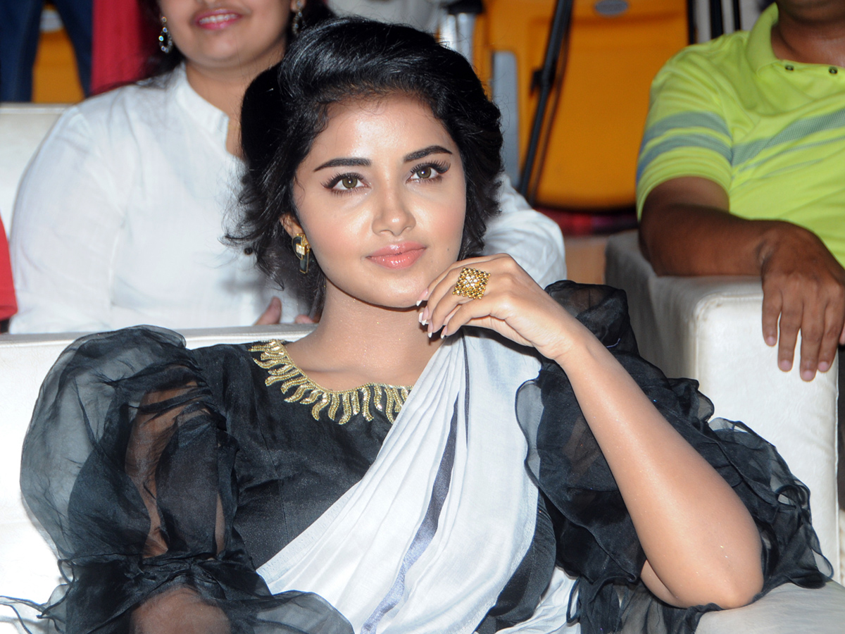 Tej I Love You Audio Success Meet Photo Gallery - Sakshi5