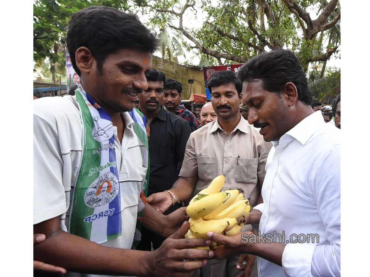 YS Jagan Padayatra 178th day Images in Palakollu - Sakshi15