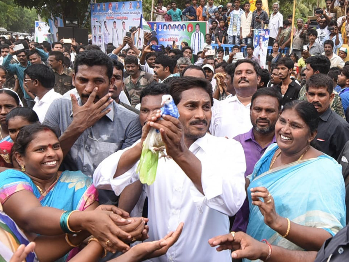 Ys jagan padayatra Photo Gallery - Sakshi5