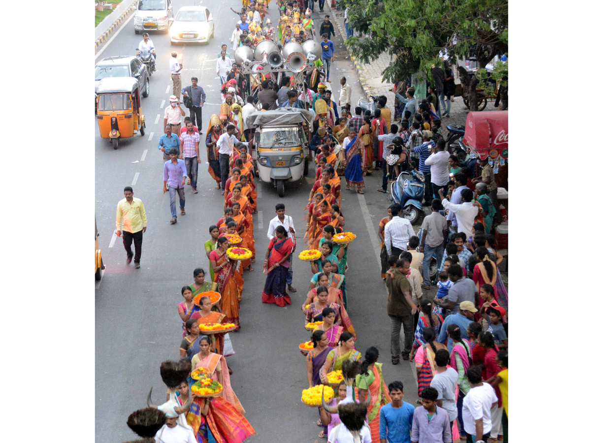 Telangana Cultural Carnival 2018 in Hyderabad Photo Gallery - Sakshi17