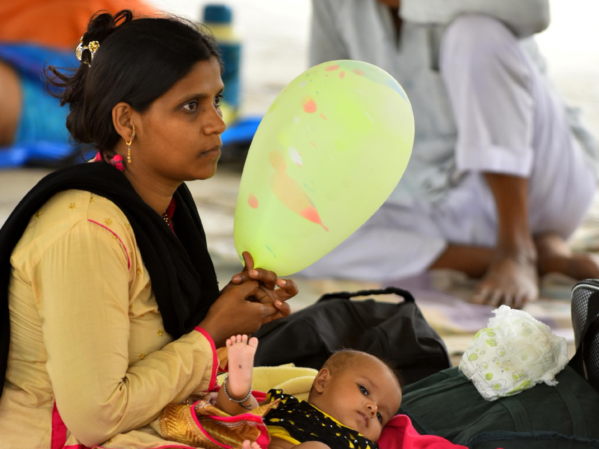 Chepa Mandu in Hyderabad photo gallery - Sakshi14