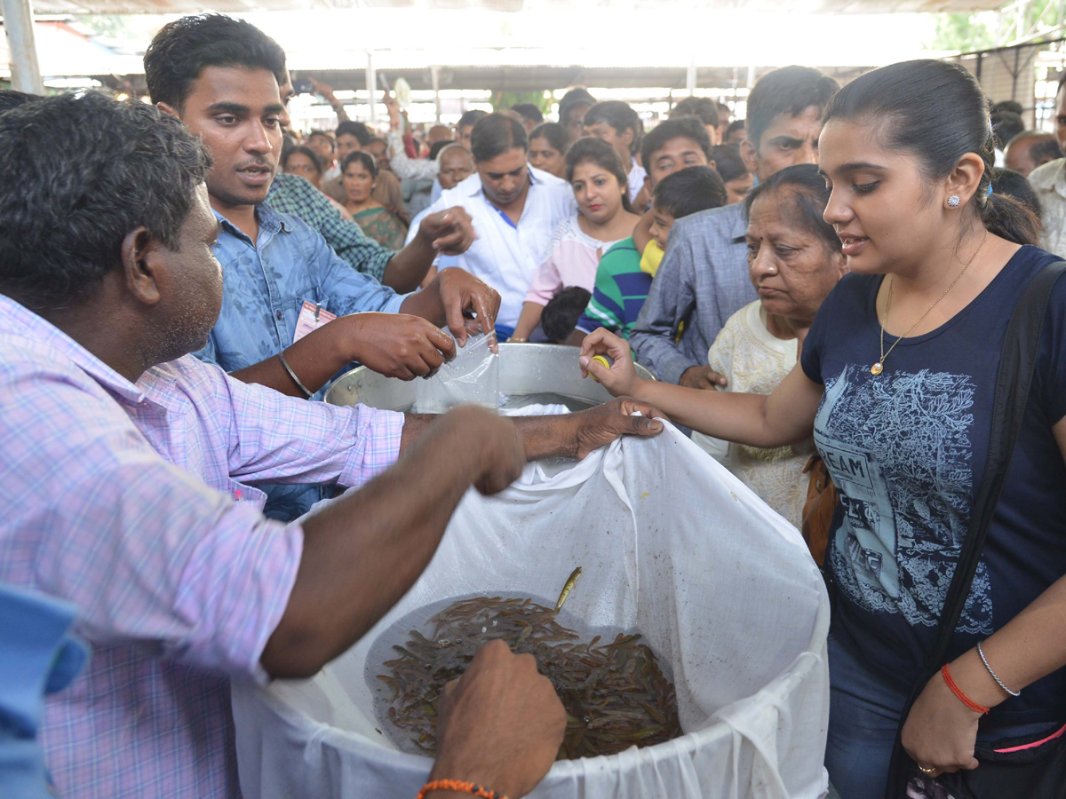 Chepa Mandu in Hyderabad photo gallery - Sakshi14