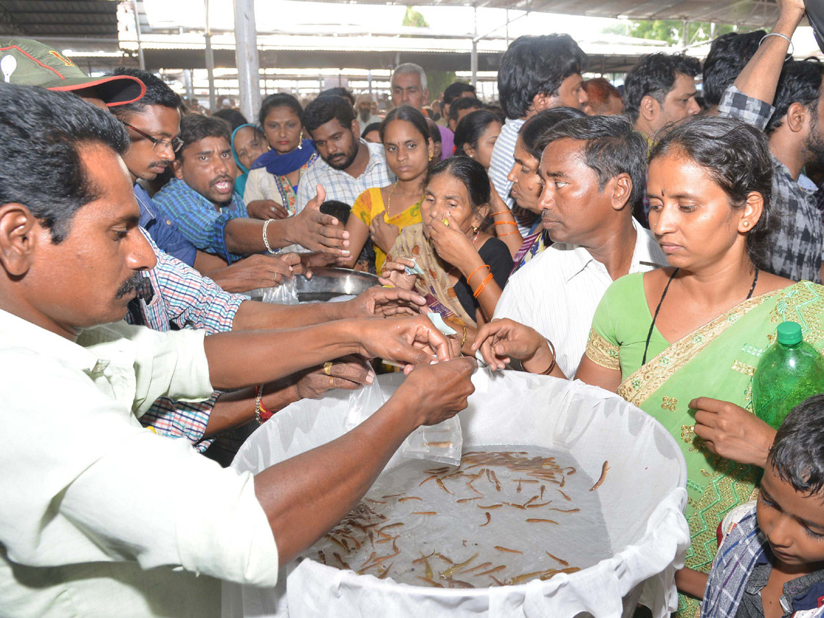 Chepa Mandu in Hyderabad photo gallery - Sakshi5