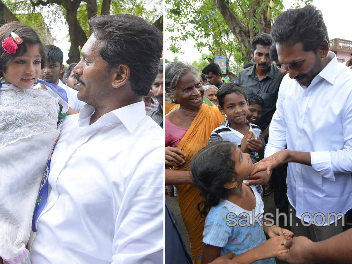 Ys Jagan Mohan Reddy Padayatra day 184  images  Nidadavolu - Sakshi12