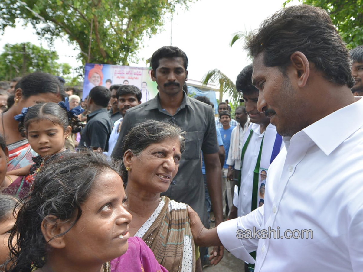 Ys Jagan Mohan Reddy Padayatra day 184  images  Nidadavolu - Sakshi8