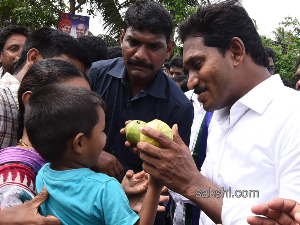 YS Jagan PrajaSankalpaYatra Day 213 Photo Gallery - Sakshi16