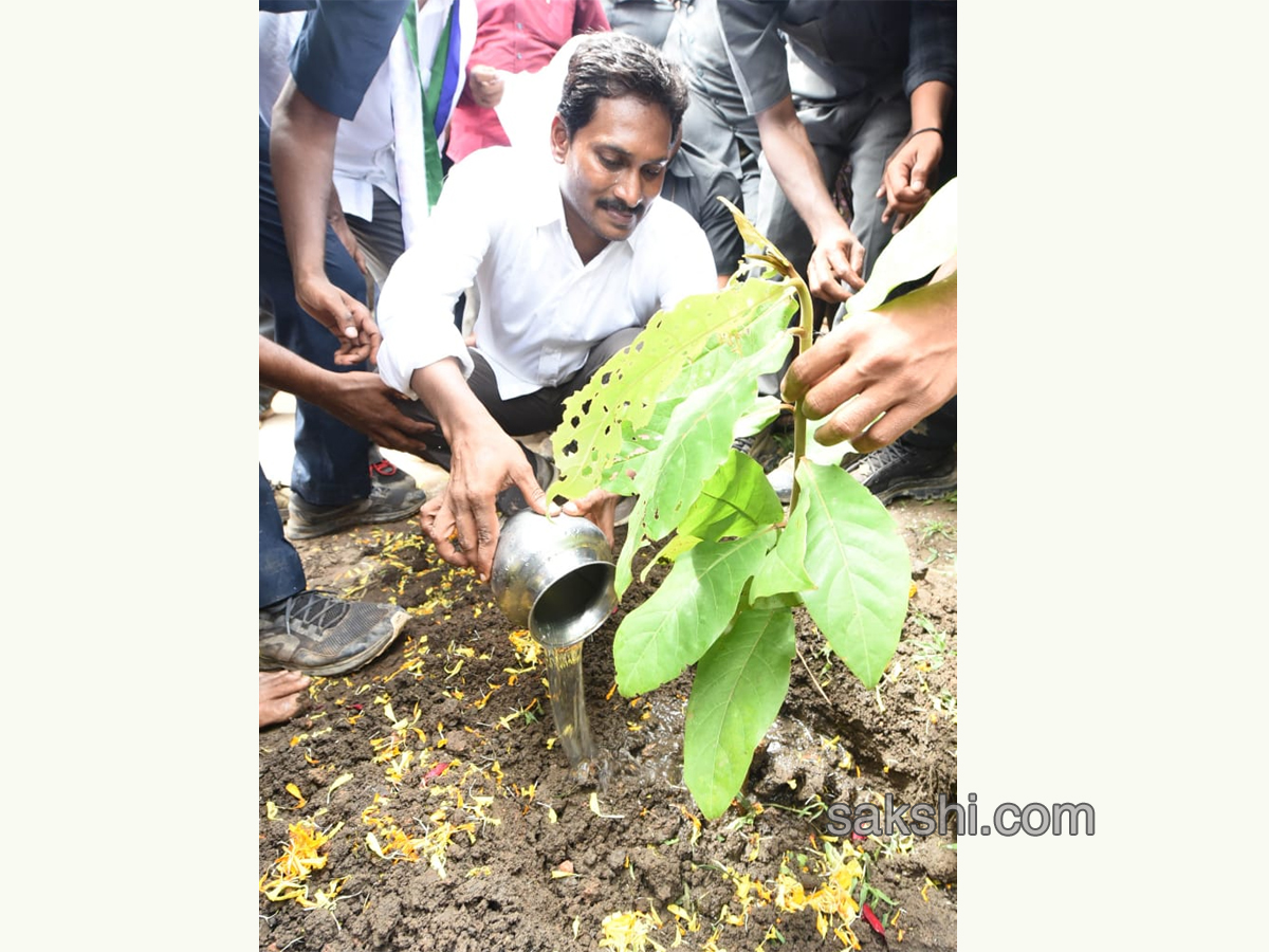 YS Jagan PrajaSankalpaYatra Day 213 Photo Gallery - Sakshi6