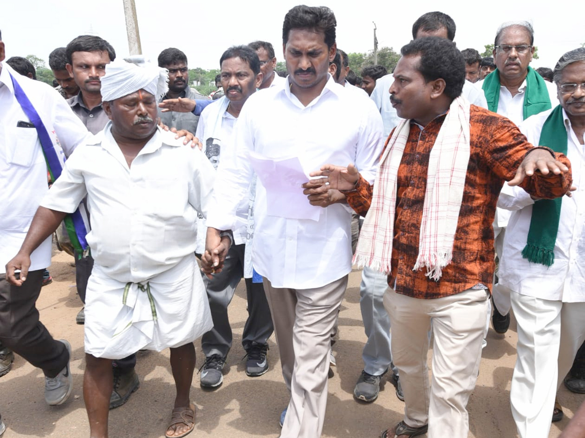 Ys Jagan Padayatra Day 214 Photo Gallery - Sakshi13