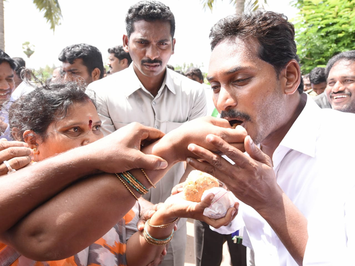 Ys Jagan Padayatra Day 214 Photo Gallery - Sakshi16