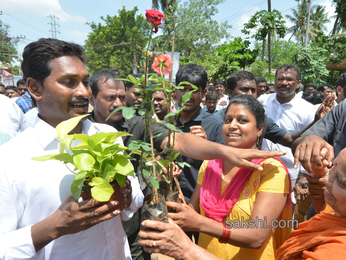 YS Jagan PrajaSankalpaYatra Day 215 Starts from Kovvada - Sakshi3