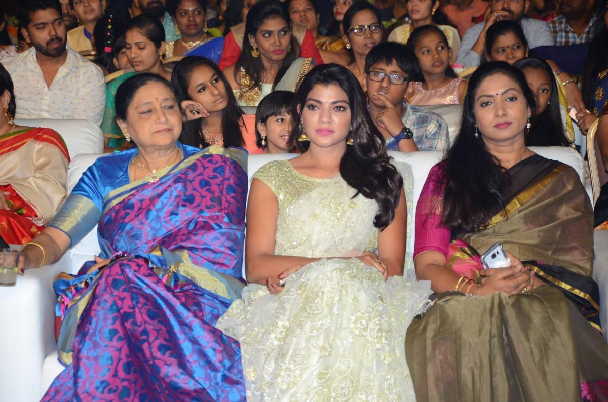 Srinivasa Kalyanam Audio Launch Photo Gallery - Sakshi16