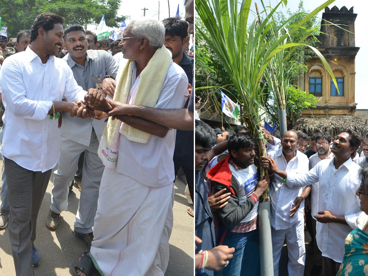 Ys Jagan Mohan Reddy Padayatra day 219 PHoto Gallery - Sakshi14