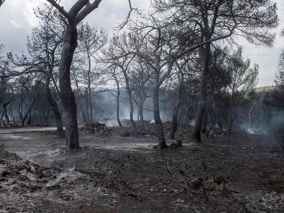 Greece wildfires: Dozens dead in Attica region Photo Gallery - Sakshi13