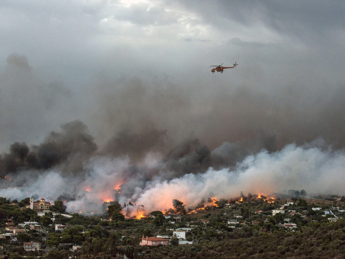 Greece wildfires: Dozens dead in Attica region Photo Gallery - Sakshi18