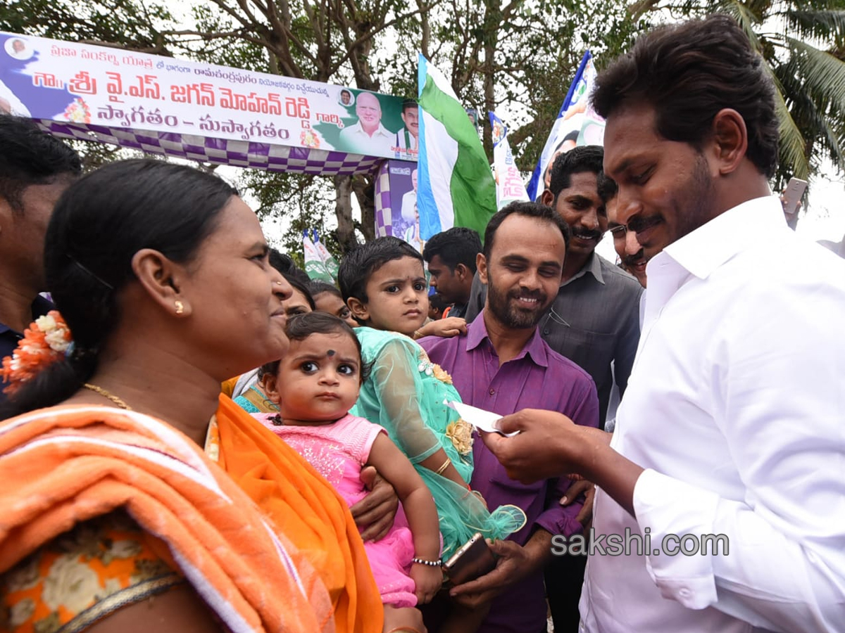 YS Jagan PrajaSankalpaYatra Day 204 Starts from Kajuluru - Sakshi1