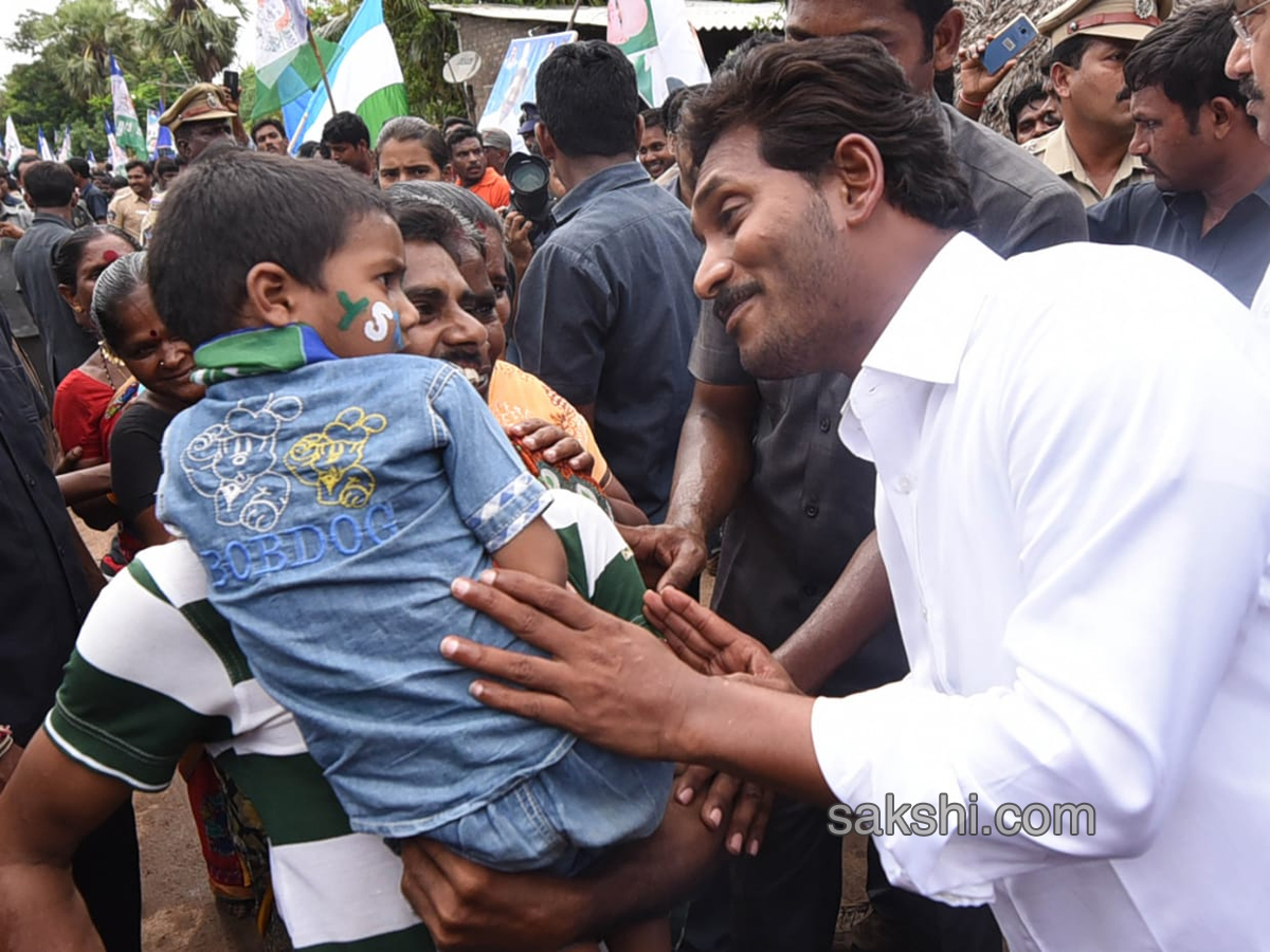 YS Jagan PrajaSankalpaYatra Day 204 Starts from Kajuluru - Sakshi4