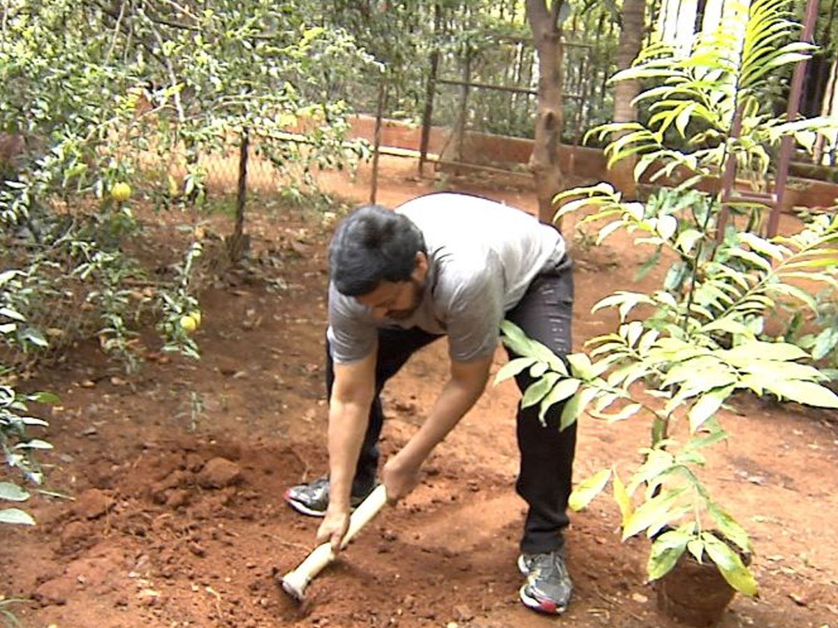  Megastar Takes Up The Green Challenge Photo Gallery - Sakshi2